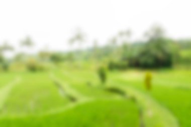 Bali Endonezya Seyahat tema bulanıklık arka plan