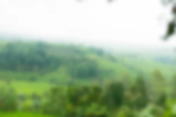 Bali Indonesia Viajes tema desenfoque fondo — Foto de Stock