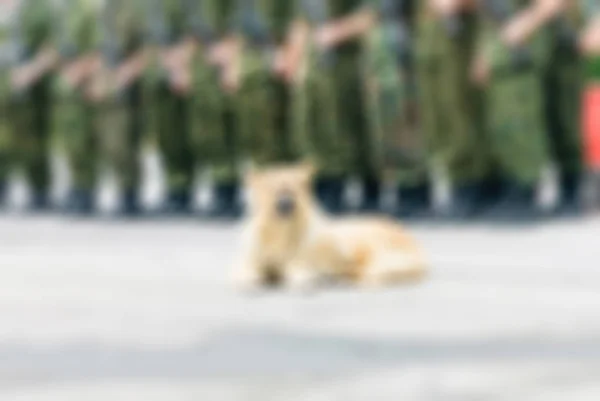 Tema del ejército ruso fondo borroso — Foto de Stock