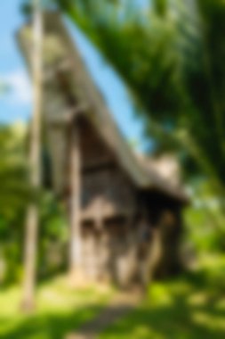 Kuş Parkı Bali Endonezya Seyahat Tema arka plan bulanıklık