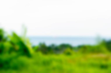 Bali Endonezya Seyahat tema bulanıklık arka plan