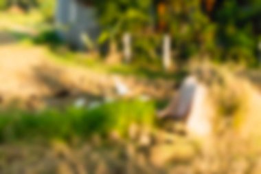 Bali Endonezya Seyahat tema bulanıklık arka plan