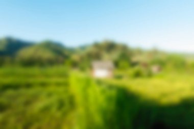 Bali Endonezya Seyahat tema bulanıklık arka plan