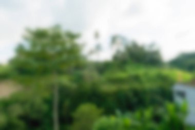 Bali Endonezya Seyahat tema bulanıklık arka plan