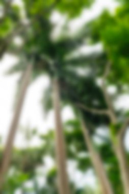 Bali Endonezya Seyahat tema bulanıklık arka plan