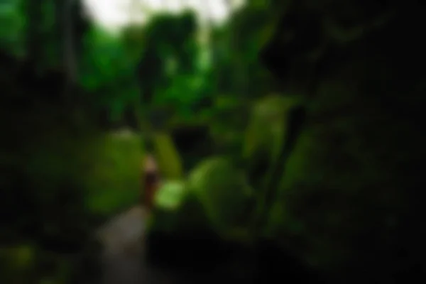 ゴアガジャバリインドネシア旅行テーマぼかし背景 — ストック写真