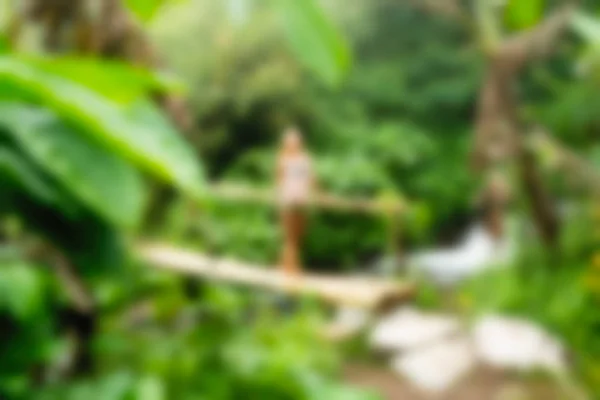 Bali Indonesia Travel theme blur background — Stock Photo, Image