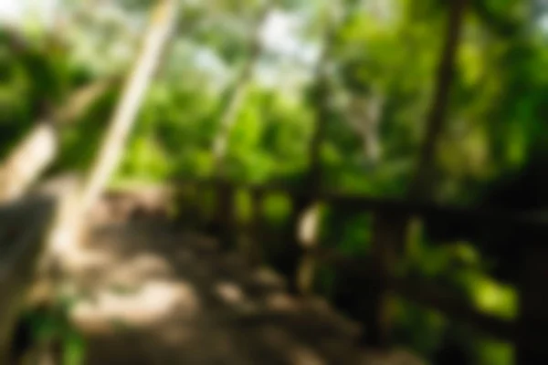 Ubud Monkey Forest Bali Indonesia Travel theme blur background — Stock Photo, Image