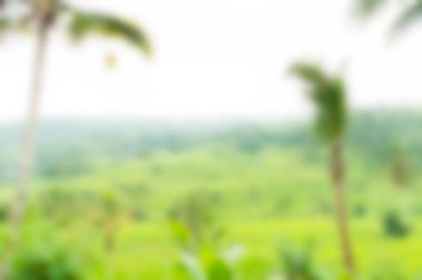 Bali Endonezya Seyahat tema bulanıklık arka plan