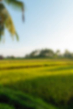 Bali Endonezya Seyahat tema bulanıklık arka plan