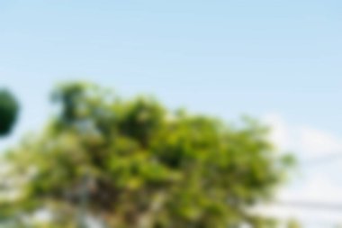 Bali Endonezya Seyahat tema bulanıklık arka plan