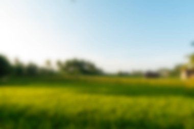 Bali Endonezya Seyahat tema bulanıklık arka plan