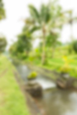 Bali Endonezya Seyahat tema bulanıklık arka plan