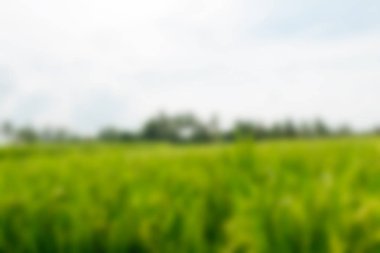 Bali Endonezya Seyahat tema bulanıklık arka plan