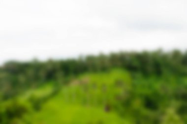 Bali Endonezya Seyahat tema bulanıklık arka plan