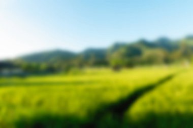 Bali Endonezya Seyahat tema bulanıklık arka plan