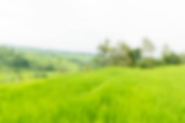 Bali Endonezya Seyahat tema bulanıklık arka plan