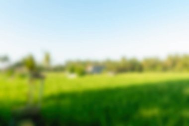 Bali Endonezya Seyahat tema bulanıklık arka plan