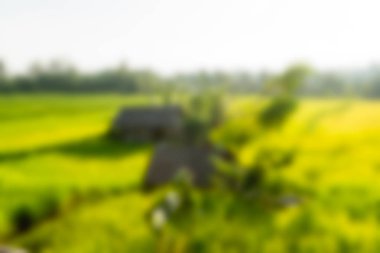 Bali Endonezya Seyahat tema bulanıklık arka plan