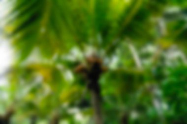 Goa Gajah Bali Endonezya Seyahat tema bulanıklık arka plan