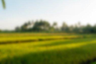 Bali Endonezya Seyahat tema bulanıklık arka plan