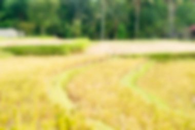 Bali Endonezya Seyahat tema bulanıklık arka plan