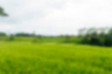 Bali Endonezya Seyahat tema bulanıklık arka plan