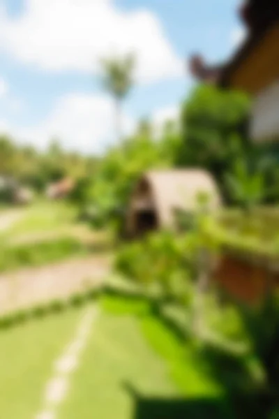 Bali Indonesia Travel theme blur background — Stock Photo, Image