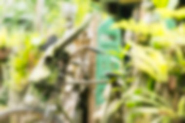 Bali Endonezya Seyahat tema bulanıklık arka plan