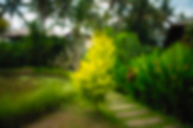 Bali Endonezya Seyahat tema bulanıklık arka plan