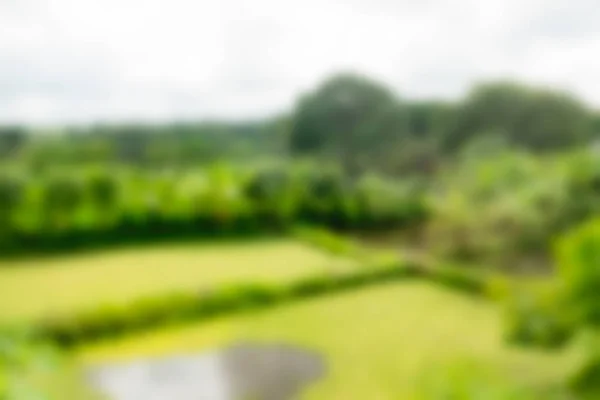 Bali indonesien reisethema verschwimmen hintergrund — Stockfoto