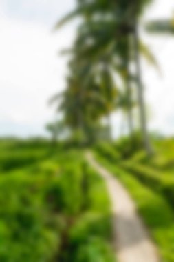 Bali Endonezya Seyahat tema bulanıklık arka plan