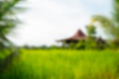 Bali Endonezya Seyahat tema bulanıklık arka plan