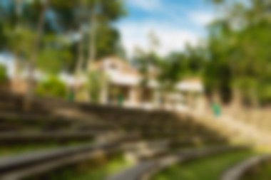 Ubud maymun orman Bali Endonezya Seyahat Tema arka plan bulanıklık