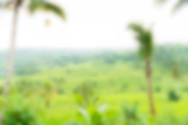 Bali Endonezya Seyahat tema bulanıklık arka plan