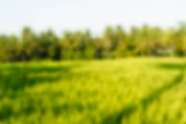 Bali Endonezya Seyahat tema bulanıklık arka plan