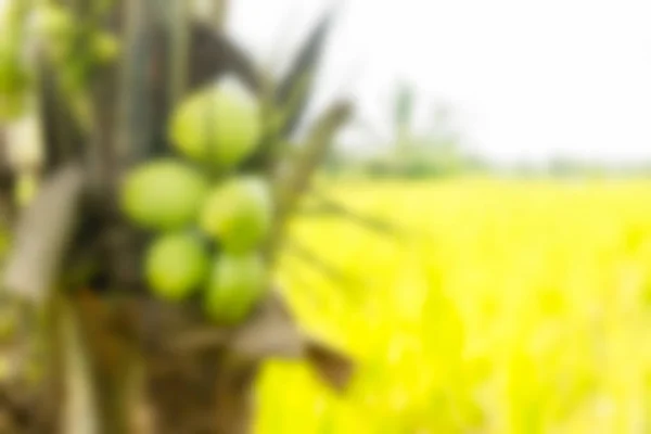 Bali Indonesia Viajes tema desenfoque fondo —  Fotos de Stock