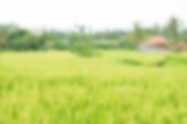 Bali Endonezya Seyahat tema bulanıklık arka plan