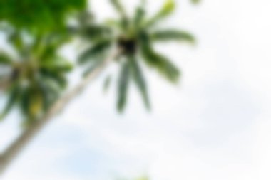 Bali Endonezya Seyahat tema bulanıklık arka plan