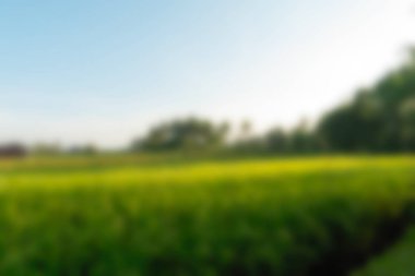 Bali Endonezya Seyahat tema bulanıklık arka plan