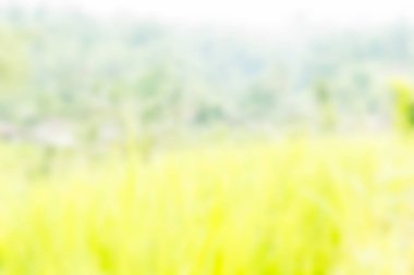 Bali Endonezya Seyahat tema bulanıklık arka plan