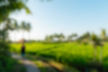 Bali Endonezya Seyahat tema bulanıklık arka plan