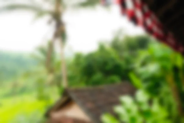 Bali Indonesia Travel theme blur background — Stock Photo, Image