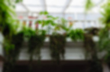 Restoran bulanıklık arka plan