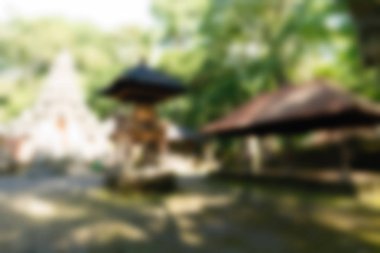 Ubud maymun orman Bali Endonezya Seyahat Tema arka plan bulanıklık