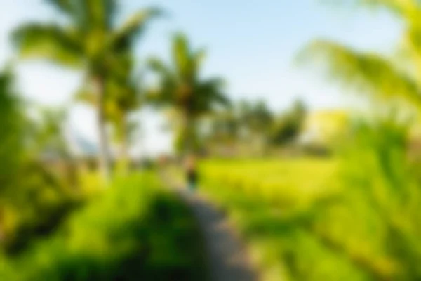 Bali indonesien reisethema verschwimmen hintergrund — Stockfoto