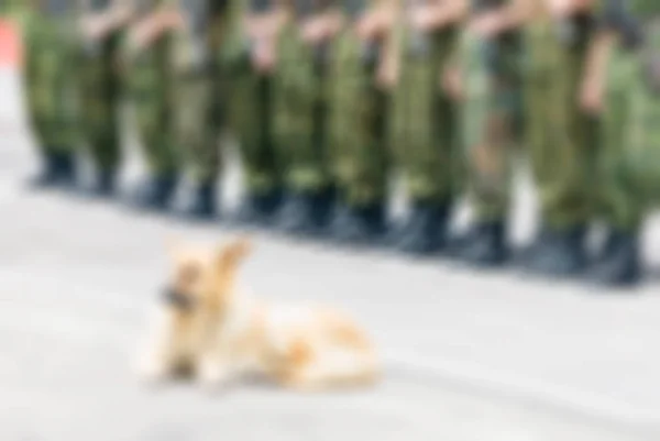 Tema del ejército ruso fondo borroso — Foto de Stock