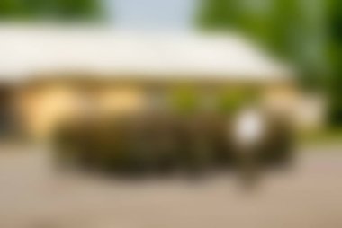 Rus Ordusu Tema arka plan bulanıklık