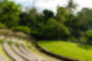 Ubud maymun orman Bali Endonezya Seyahat Tema arka plan bulanıklık