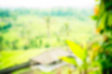 Bali Endonezya Seyahat tema bulanıklık arka plan